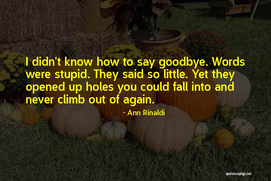 Ruhlardan Quotes By Ann Rinaldi Ruhlardan Quotes By Ann Rinaldi