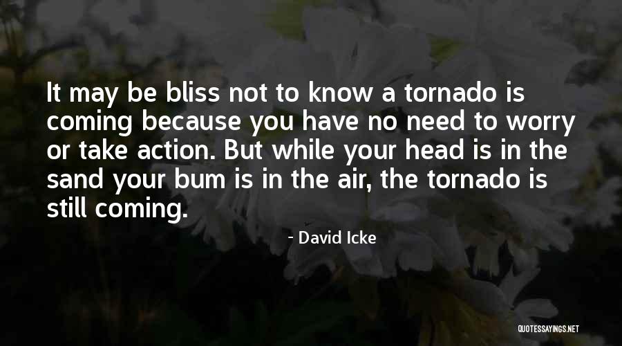 Ruhsat Usulu Quotes By David Icke Ruhsat Usulu Quotes By David Icke