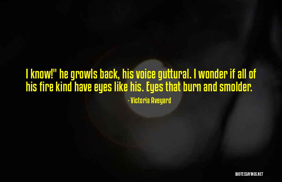 Ruidoso Quotes By Victoria Aveyard Ruidoso Quotes By Victoria Aveyard
