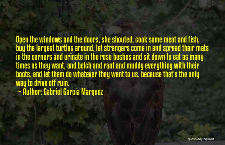 Ruin Everything Quotes By Gabriel Garcia Marquez