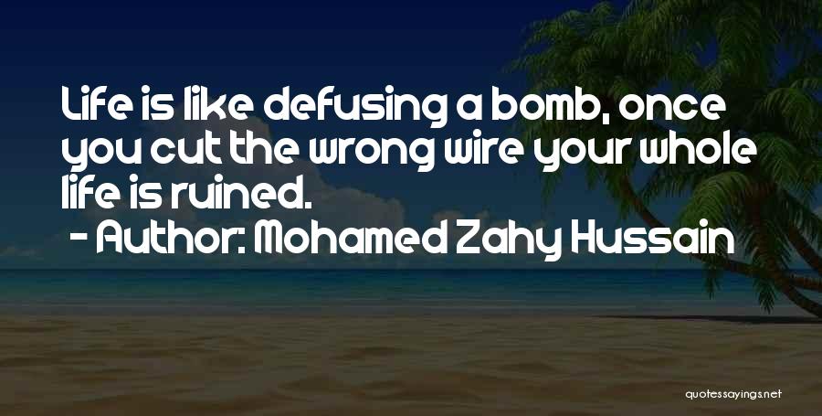 Ruined Your Life Quotes By Mohamed Zahy Hussain