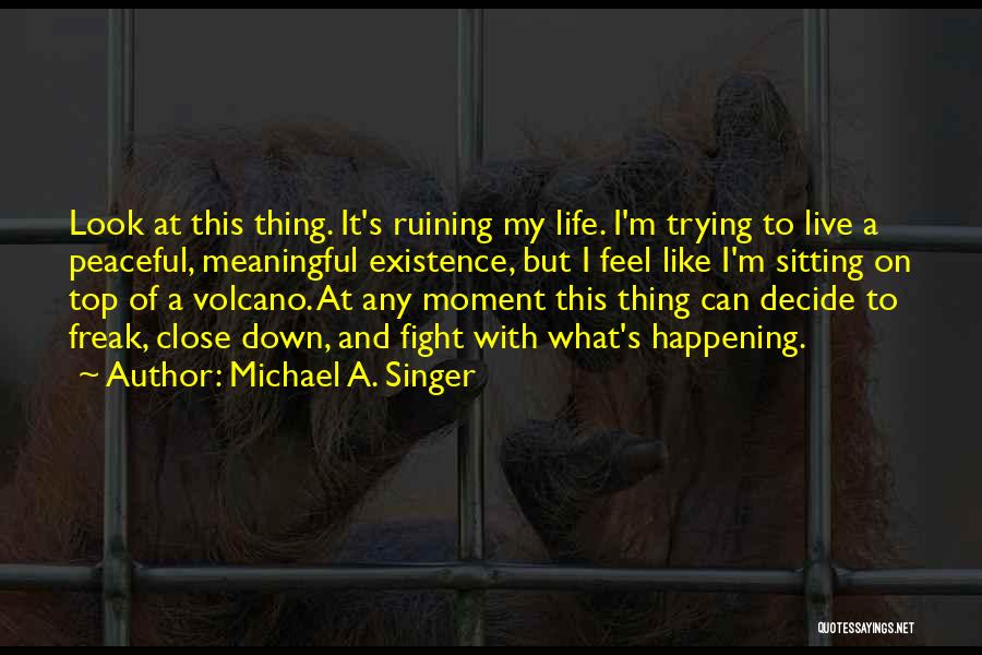 Ruining Someone's Life Quotes By Michael A. Singer