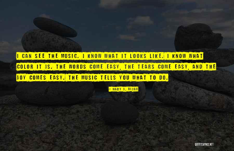 Ruinland Quotes By Mary J. Blige Ruinland Quotes By Mary J. Blige