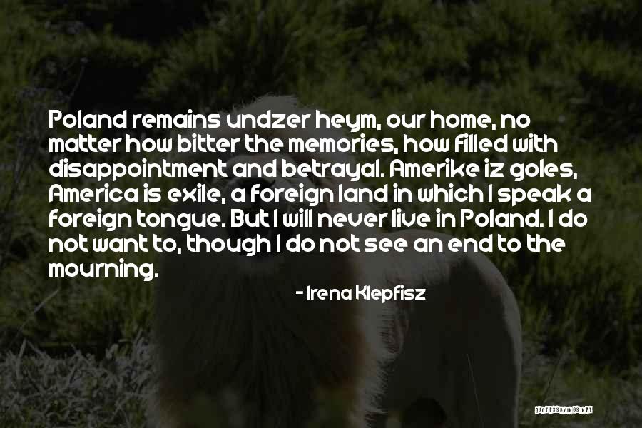 Ruins Quotations Quotes By Irena Klepfisz Ruins Quotations Quotes By Irena Klepfisz