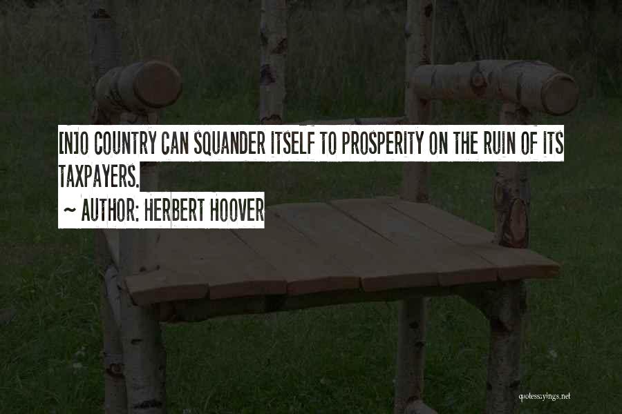 Ruins Quotes By Herbert Hoover