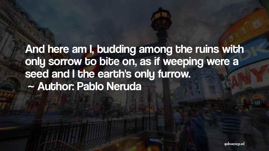 Ruins Quotes By Pablo Neruda