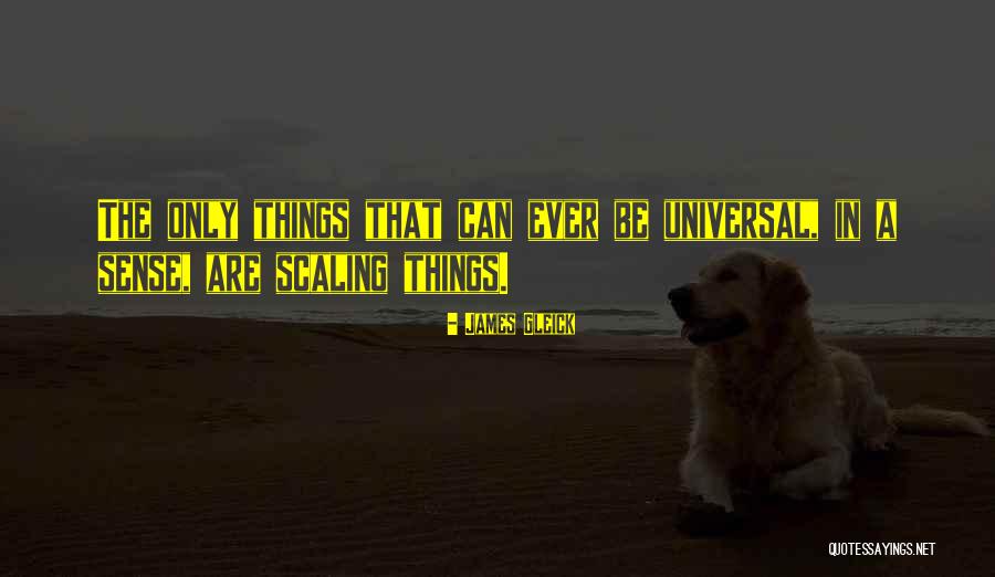 Ruisenor Del Quotes By James Gleick