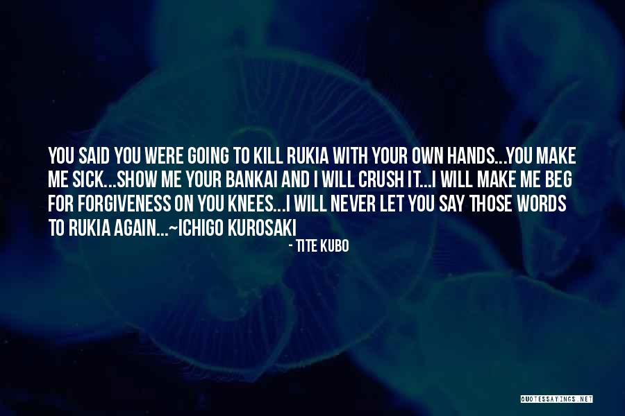 Rukia And Ichigo Quotes By Tite Kubo Rukia And Ichigo Quotes By Tite Kubo