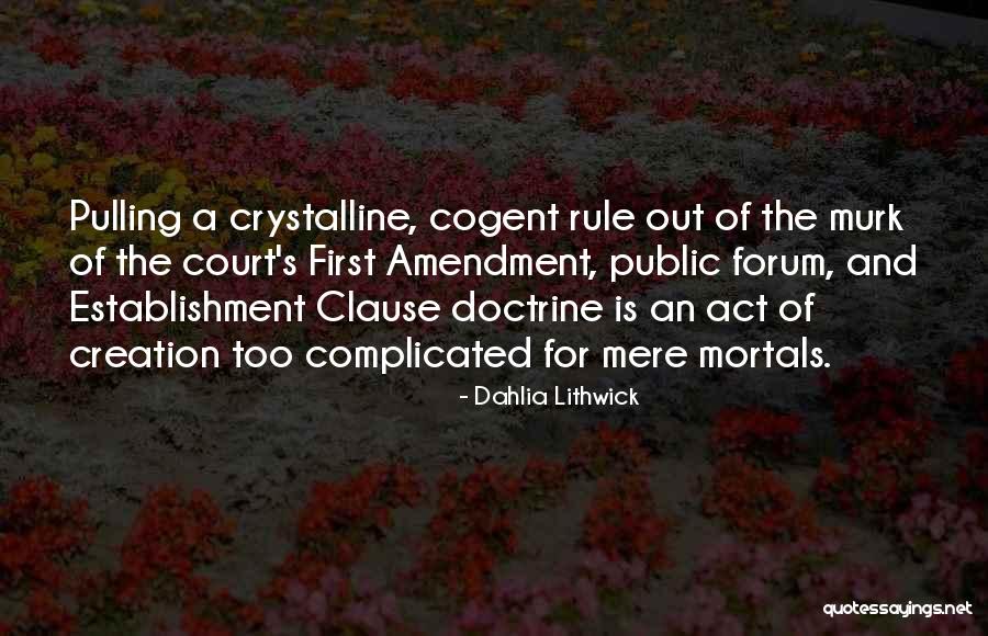 Rule And Act Quotes By Dahlia Lithwick