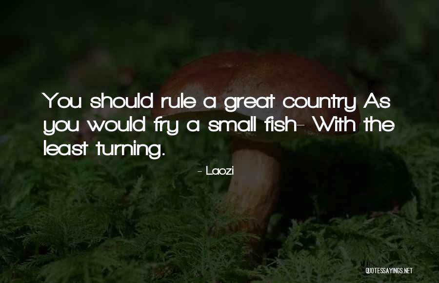 Rule Your Own Country Quotes By Laozi Rule Your Own Country Quotes By Laozi