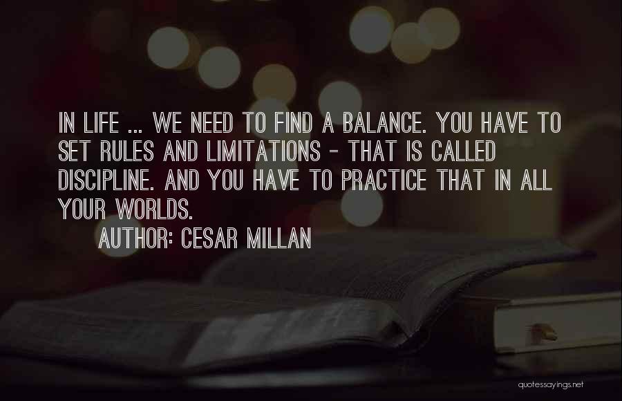 Rules And Limitations Quotes By Cesar Millan