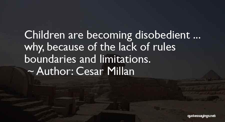 Rules And Limitations Quotes By Cesar Millan