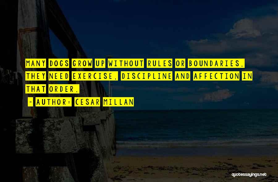 Rules And Order Quotes By Cesar Millan