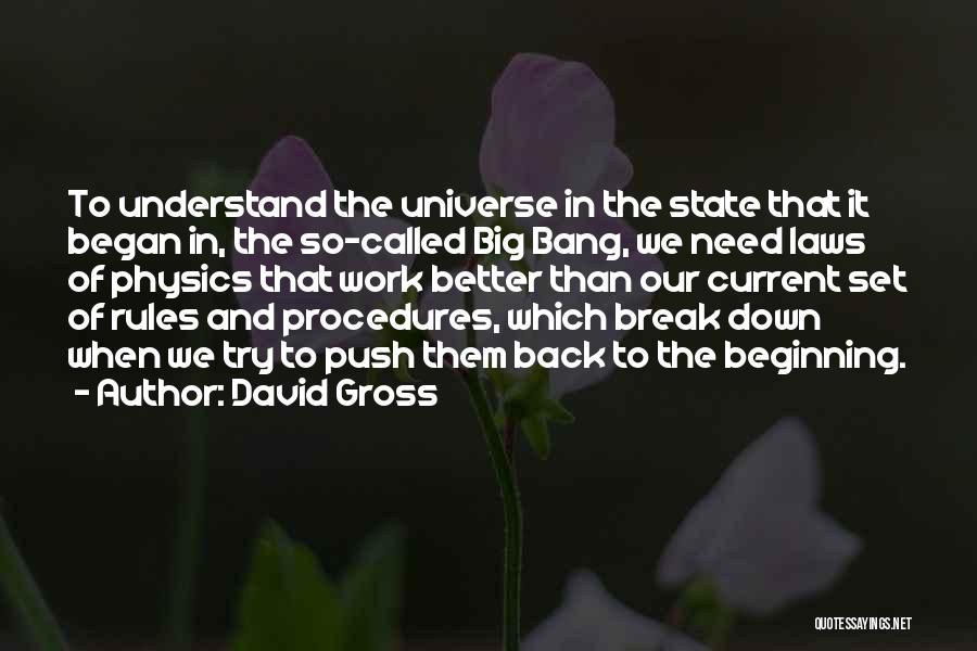 Rules And Procedures Quotes By David Gross