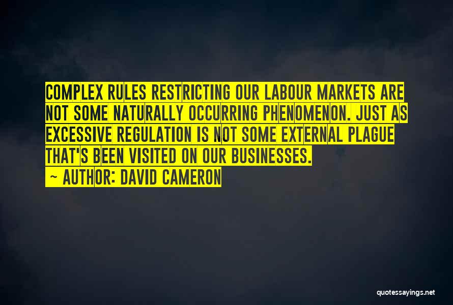 Rules And Regulation Quotes By David Cameron