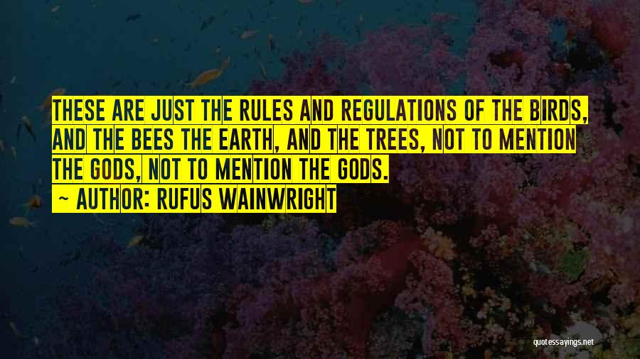 Rules And Regulation Quotes By Rufus Wainwright