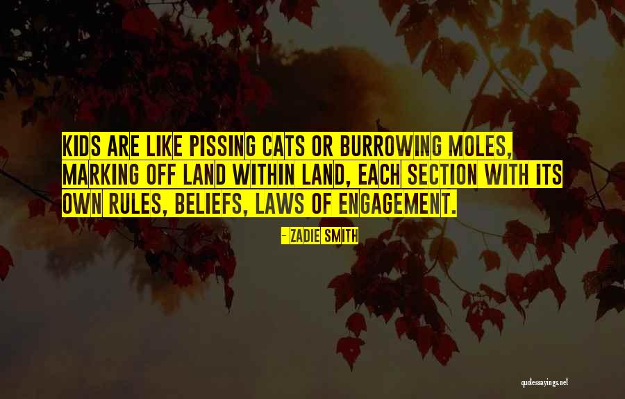 Rules Of Engagement Quotes By Zadie Smith