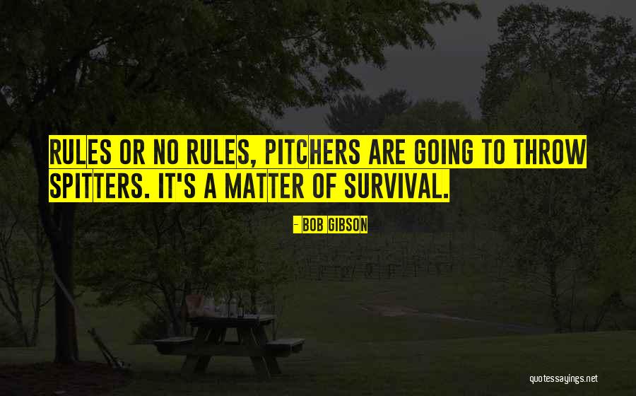 Rules Of Survival Quotes By Bob Gibson Rules Of Survival Quotes By Bob Gibson