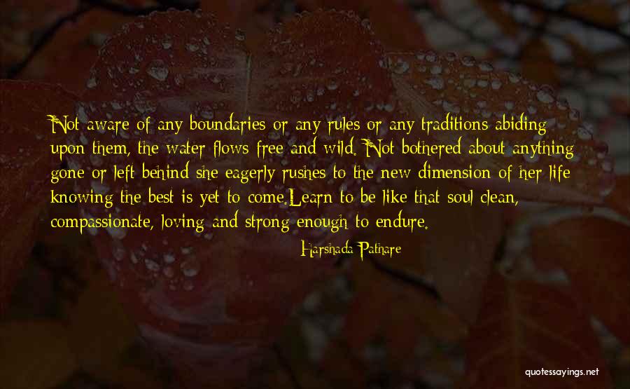 Rules To Life Quotes By Harshada Pathare Rules To Life Quotes By Harshada Pathare