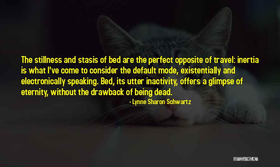 Rumana Naseem Quotes By Lynne Sharon Schwartz Rumana Naseem Quotes By Lynne Sharon Schwartz