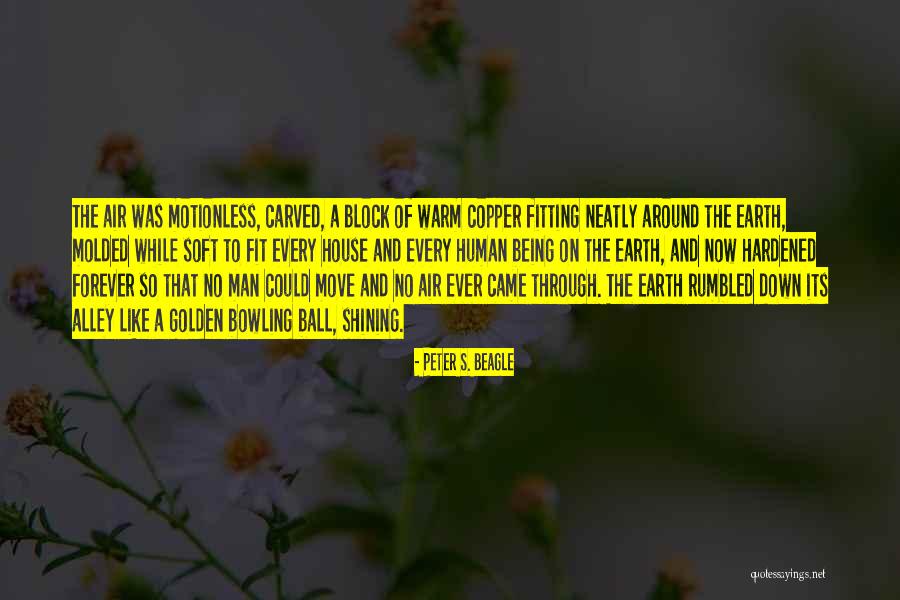 Rumbled Quotes By Peter S. Beagle Rumbled Quotes By Peter S. Beagle