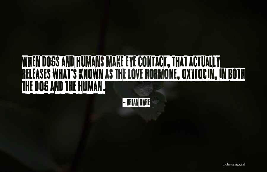 Rumboggies Quotes By Brian Hare Rumboggies Quotes By Brian Hare