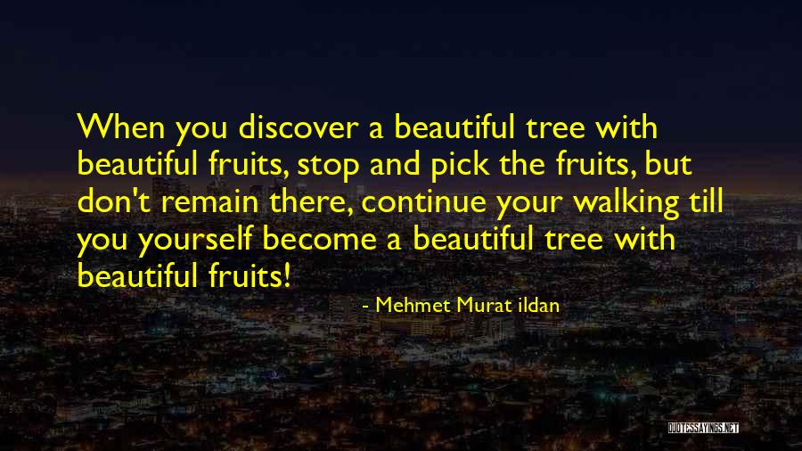 Rumely Lofts Quotes By Mehmet Murat Ildan Rumely Lofts Quotes By Mehmet Murat Ildan