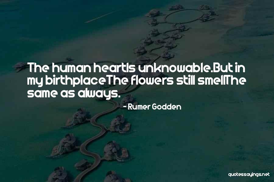 Rumer Godden Quotes 776702