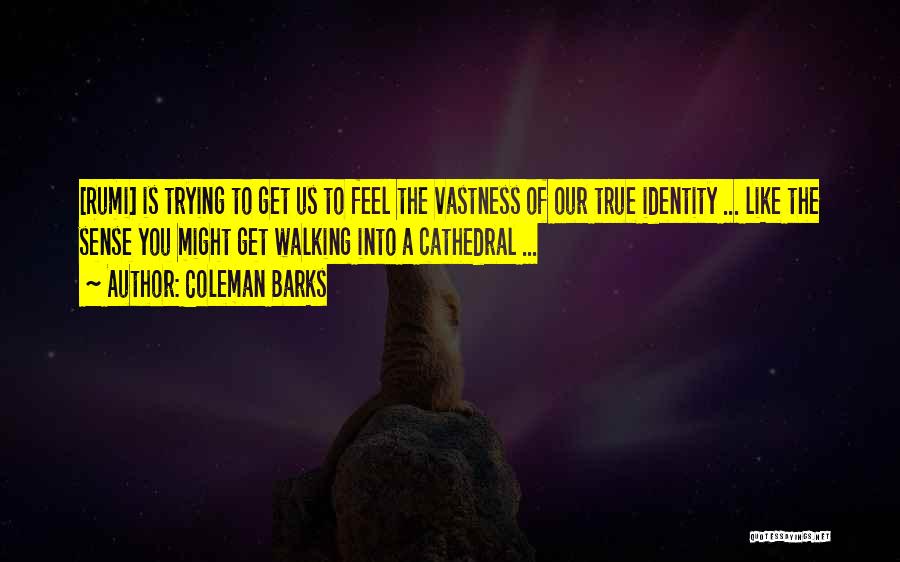 Rumi Coleman Barks Quotes By Coleman Barks