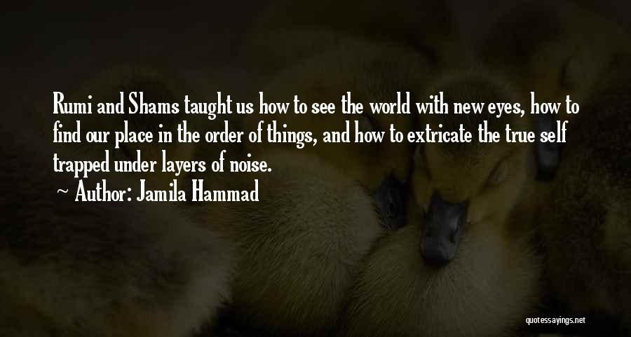 Rumi Inspirational Quotes By Jamila Hammad