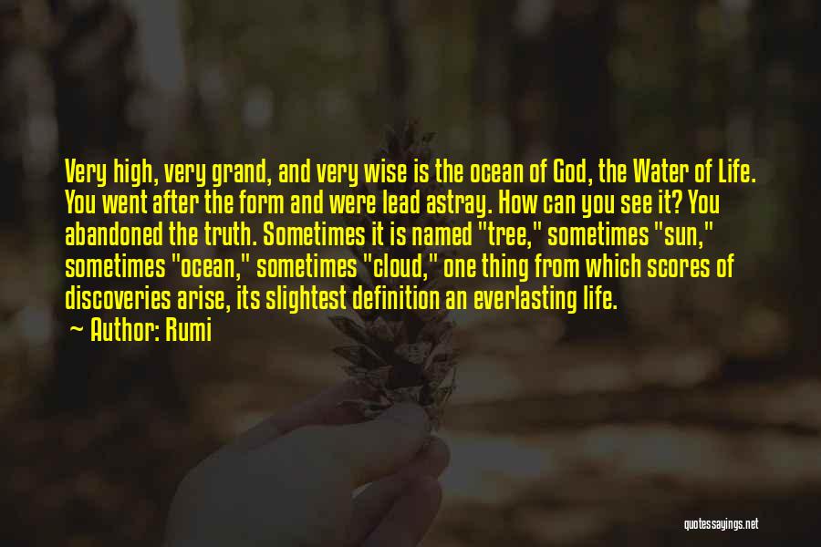 Rumi Inspirational Quotes By Rumi