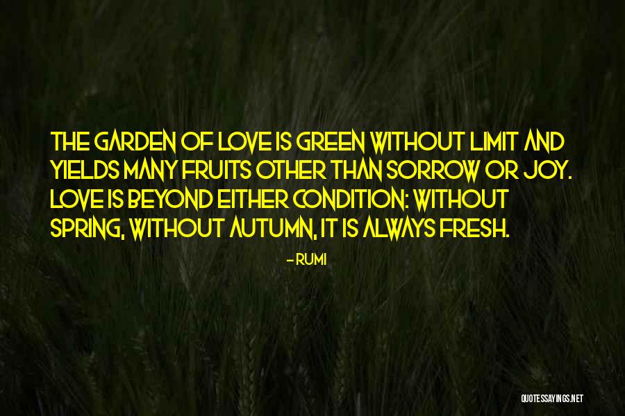 Rumi Quotes 1095257 Rumi Quotes 1095257