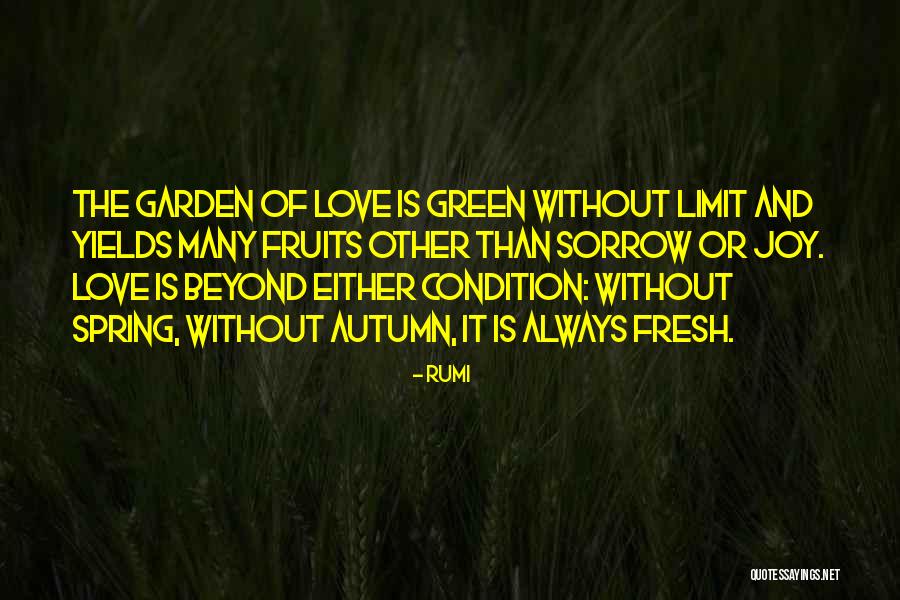 Rumi Quotes 1095257