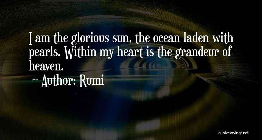 Rumi Quotes 1495206