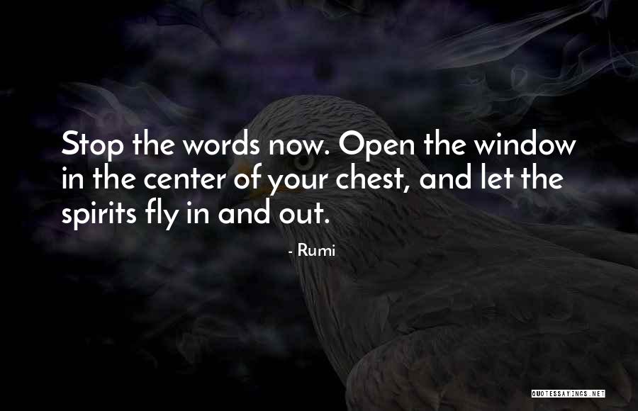 Rumi Quotes 1592094