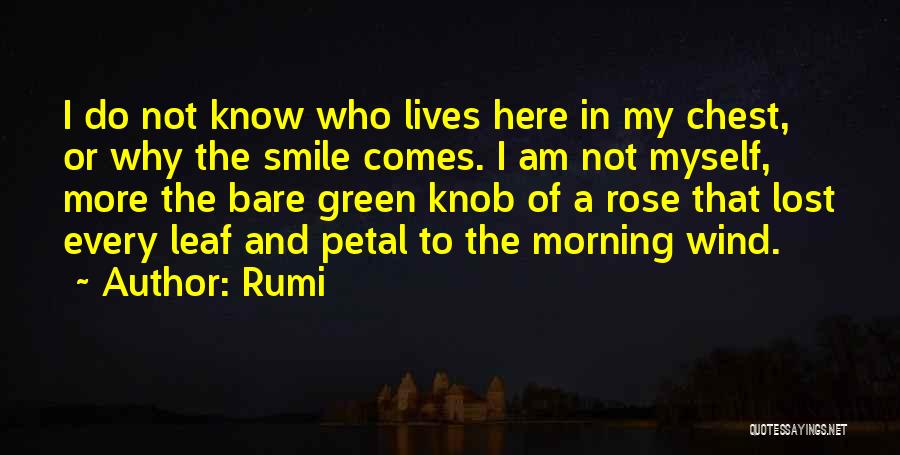 Rumi Quotes 1599325