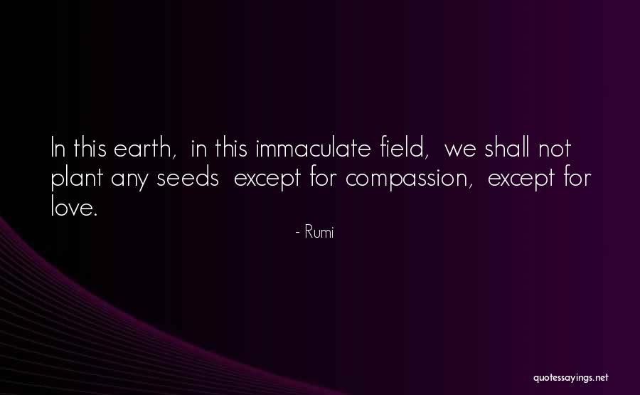 Rumi Quotes 236808