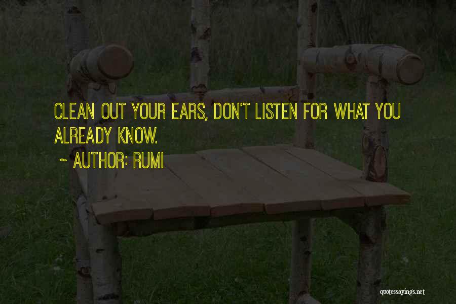 Rumi Quotes 526227