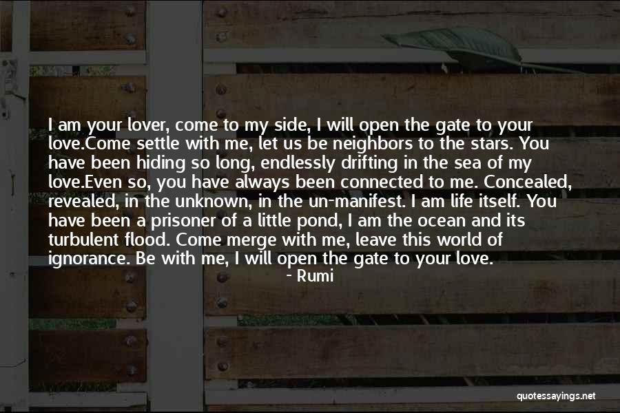 Rumi Quotes 865706 Rumi Quotes 865706