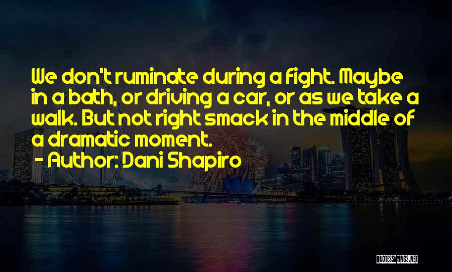 Ruminate Quotes By Dani Shapiro