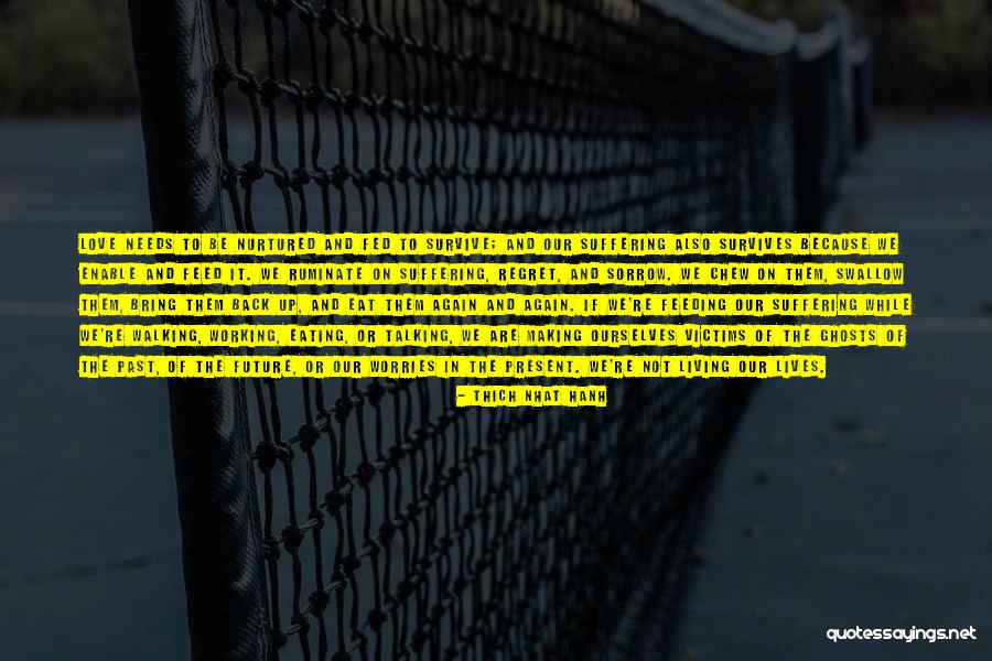 Ruminate Quotes By Thich Nhat Hanh Ruminate Quotes By Thich Nhat Hanh