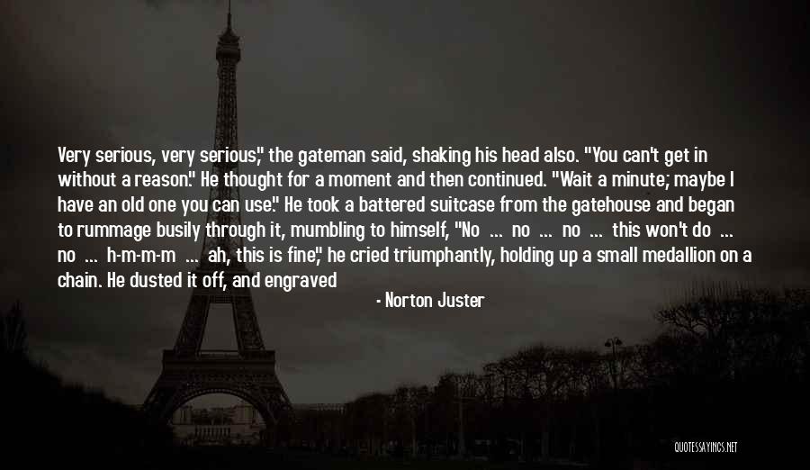 Rummage Quotes By Norton Juster Rummage Quotes By Norton Juster