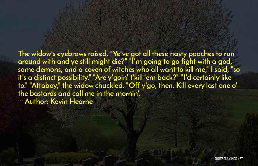 Run Back To Me Quotes By Kevin Hearne
