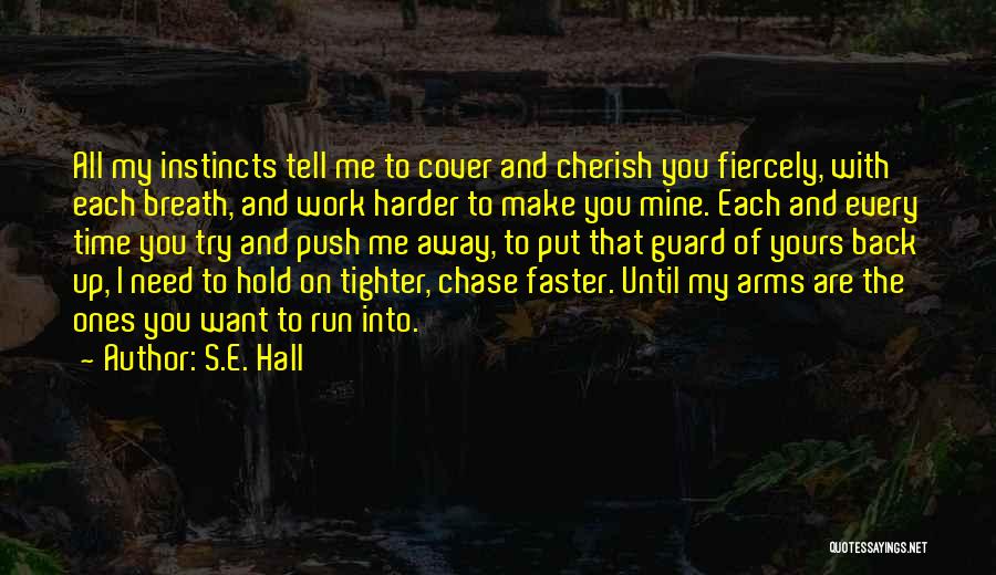 Run Back To Me Quotes By S.E. Hall