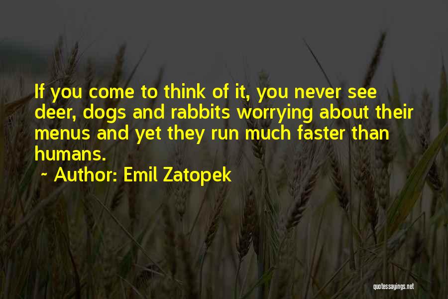 Run Faster Quotes By Emil Zatopek