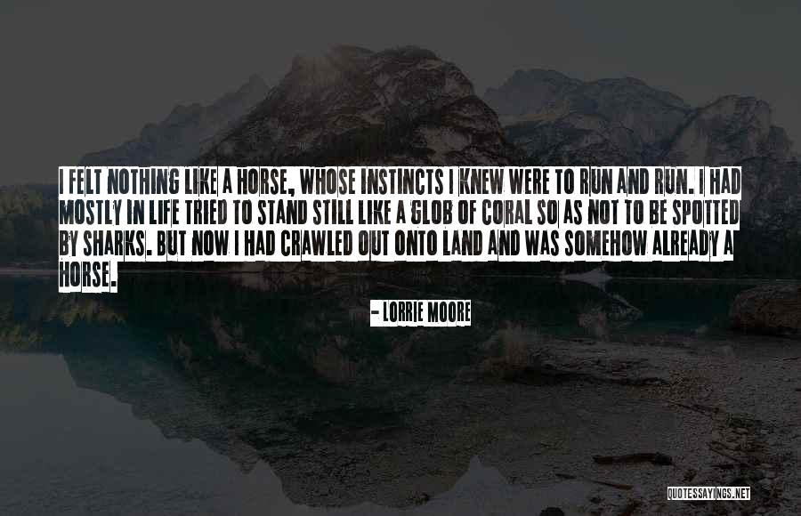 Run Horse Quotes By Lorrie Moore Run Horse Quotes By Lorrie Moore