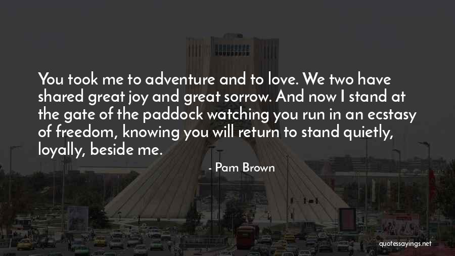 Run Horse Quotes By Pam Brown Run Horse Quotes By Pam Brown