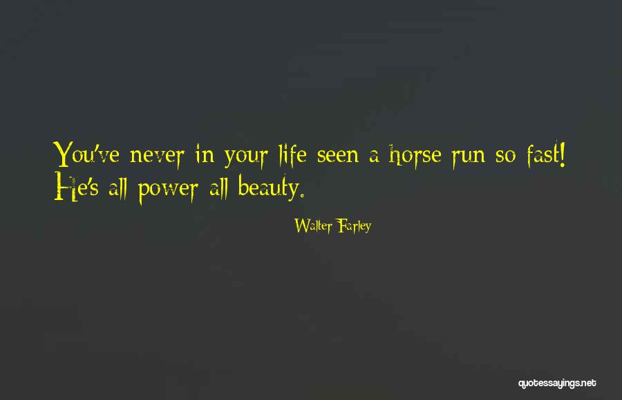 Run Horse Quotes By Walter Farley Run Horse Quotes By Walter Farley