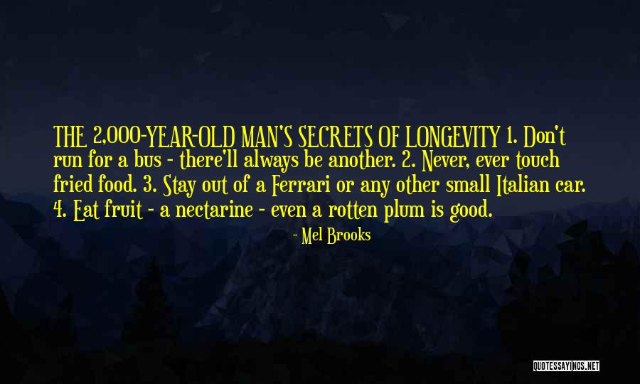 Run The Year Quotes By Mel Brooks Run The Year Quotes By Mel Brooks