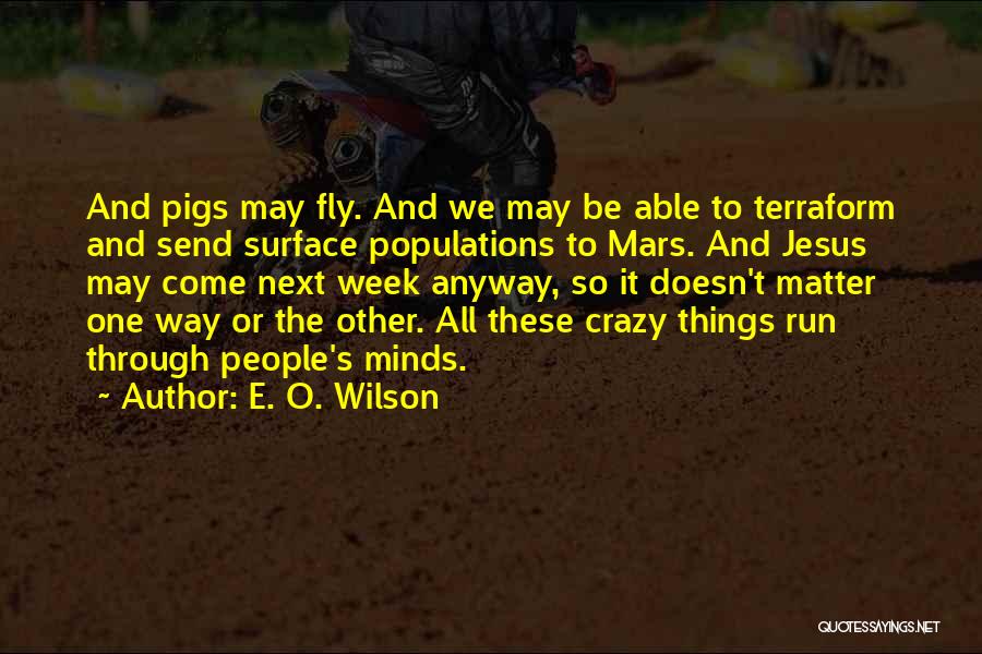 Run To Jesus Quotes By E. O. Wilson